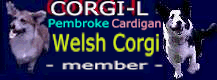 The
Corgi-L Web Site