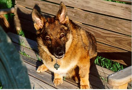 Ivan in September of 1994